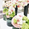 PREMIUM ORCHIDS Flower subscriptions - 3
