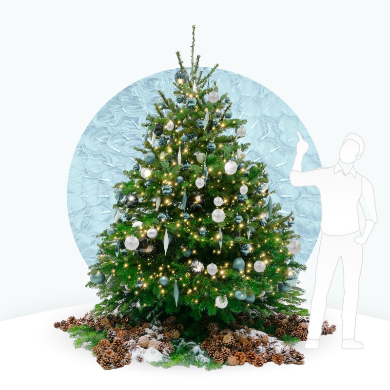 Luxury Christmas trees