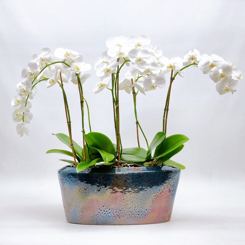 CACHE-POT by Kasper MOBACH Trendy Accessories - 1 CACHE-POT by Kasper MOBACH Trendy Accessories - 1