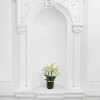 PETITS CHAMPS Orchids in Planters - 7