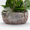 COLOMBE PLANTER Orchids in Planters - 6