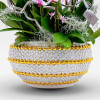 BELLISSIMA BIANCA PLANTER Orchids in Planters - 6