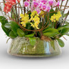 copy of PAPILLON Orchids in Planters - 5