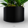 ROTONDE Potted Orchids - 15