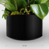 ROTONDE Potted Orchids - 10