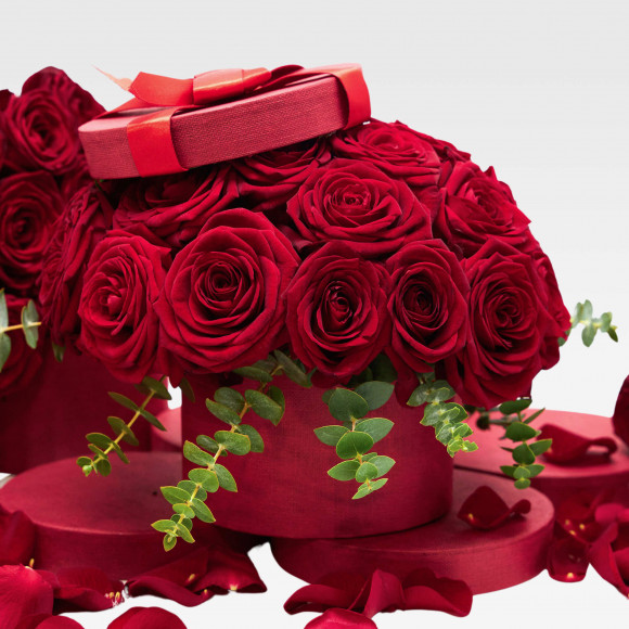 GRENAT TENDER Home - 1