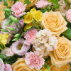 POINT DU JOUR 2024 Bouquets d'Exception - 7