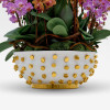 VERDI PLANTER Potted Orchids - 2