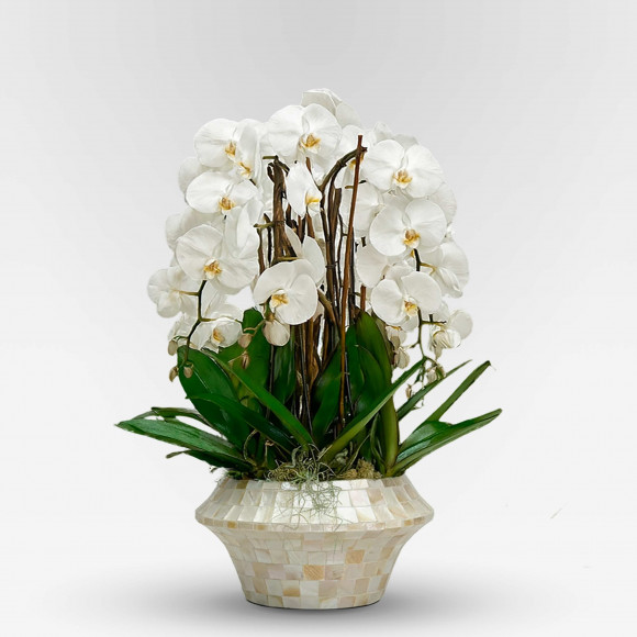 BELLA BIANCA  XXX - Slider - 1