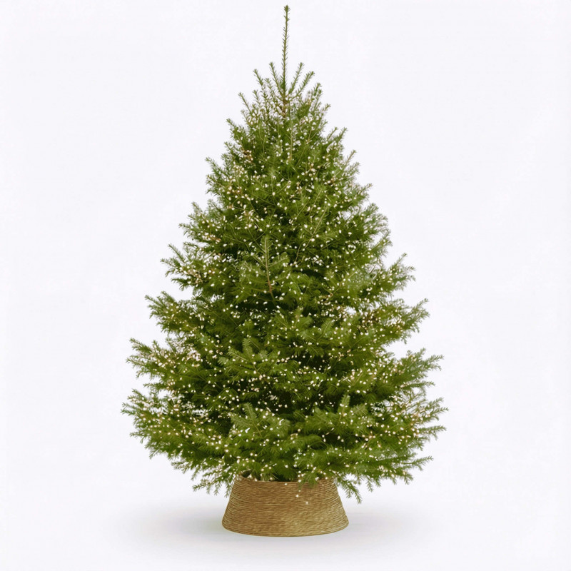 SAPIN ÉTINCELLE Sapins de Noël - 1