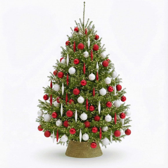 SAPIN TRADITION Sapins de Noël - 1