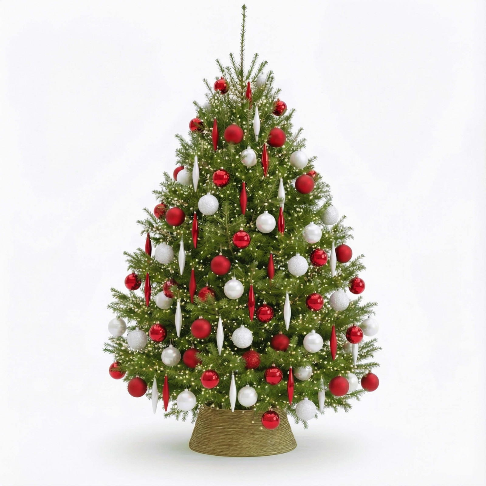 TRADITION FIR  Christmas trees - 1