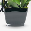 GALERIE COLBERT Orchids in Planters - 3
