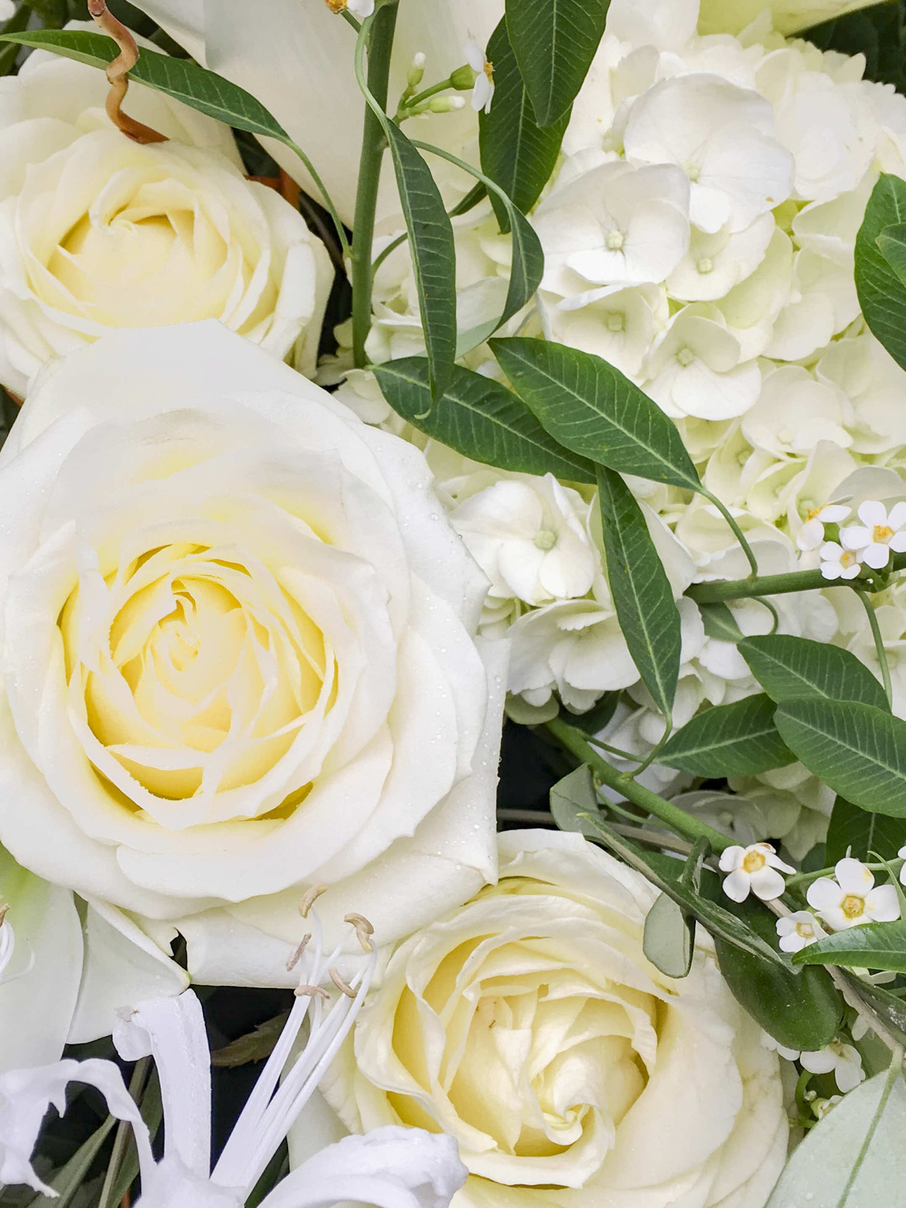 Jardin de Monet, bouquet champêtre en tons blanc et crème, roses, hortensias et feuillages délicats dans un coffret ivoire