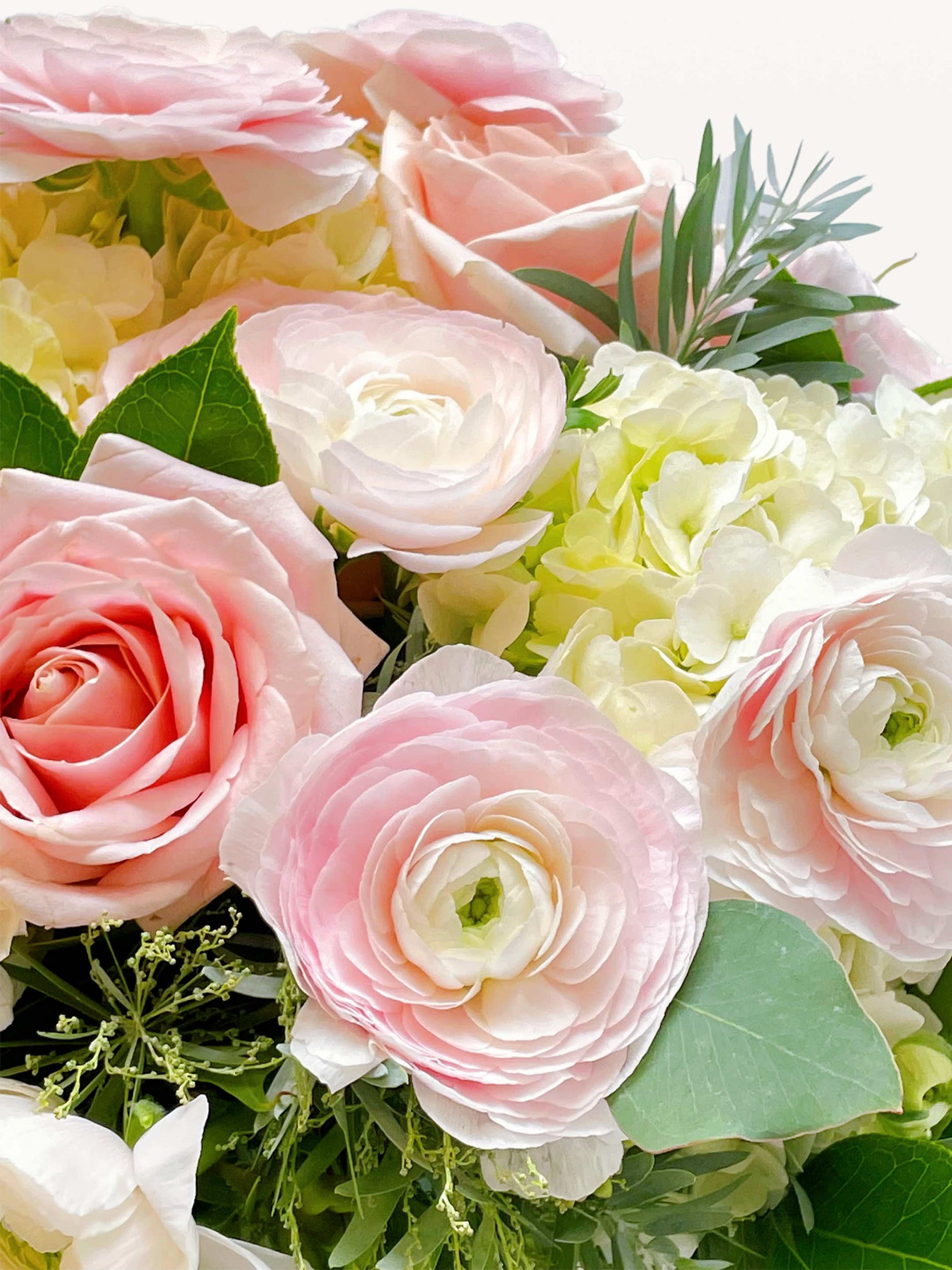 Roses roses, renoncules pâles et hortensias blancs entourés de feuillage vert pour le Championnet