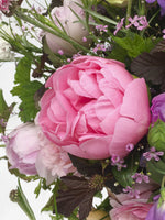 Jardin des Plantes, rose rose vif aux pétales froissés entourée de fleurs mauves et feuillages verts