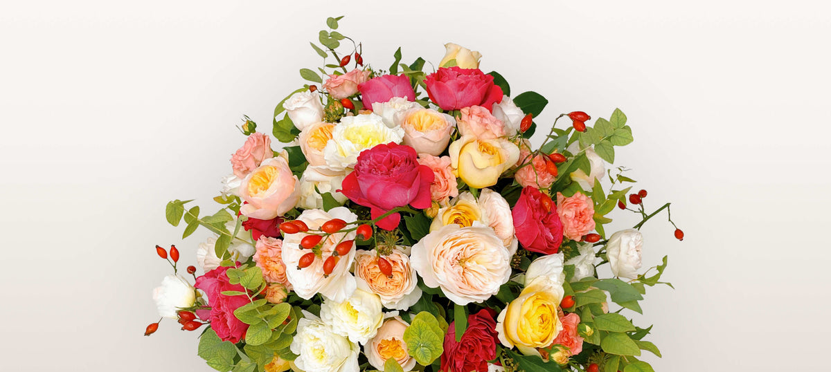 Rue de la Rosière : roses roses, blanches, jaunes et fuchsia mêlées à des baies d'églantier et du feuillage