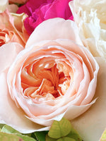 Rose Rue de la Rosière, pétales pêche enroulés en spirale, entourée de roses fuchsia et ivoire
