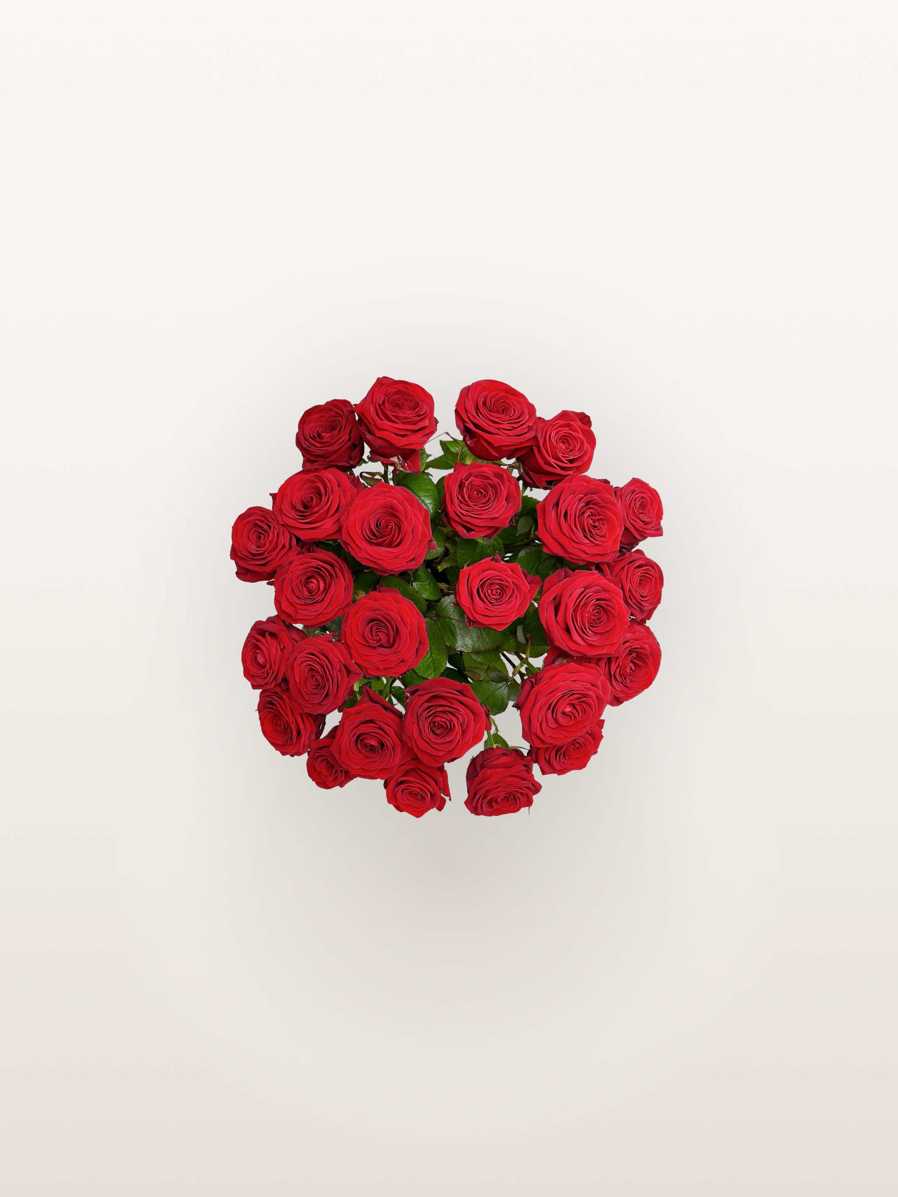 Le Royal N°25 rassemble une brassée de roses rouges veloutées aux pétales denses et généreux