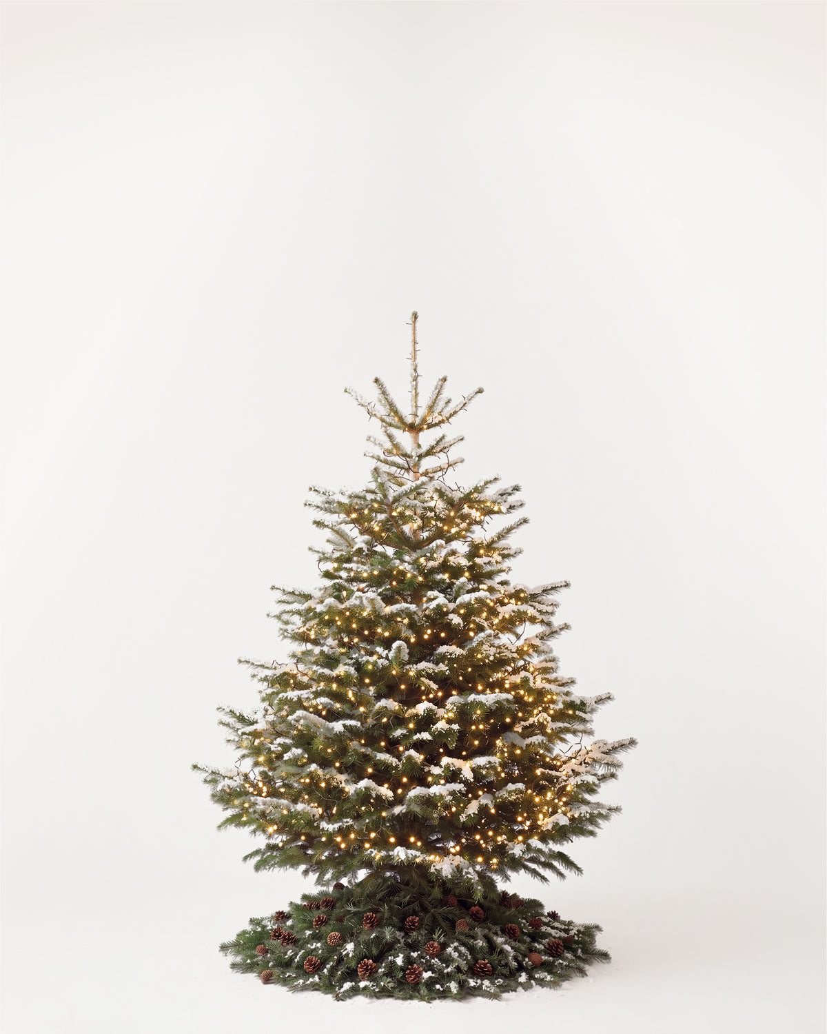 Sapin de Noël Étincelles de 150 cm : Nordmann illuminé d'une guirlande blanc chaud et pied de pommes de pin 