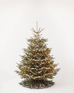 Sapin de Noël Étincelles de 200 cm : Nordmann illuminé d'une guirlande blanc chaud et pied de pommes de pin 