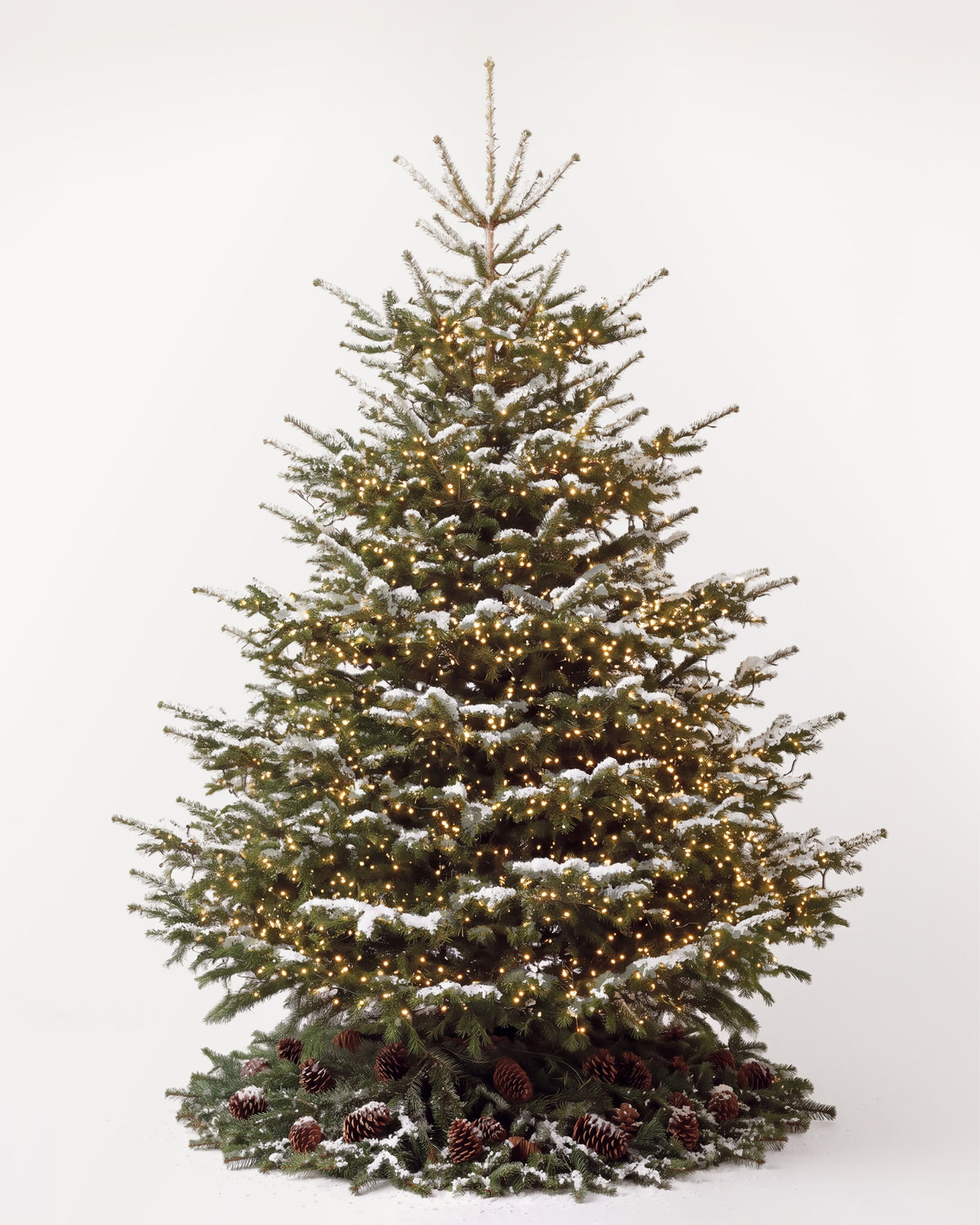 Sapin de Noël Étincelles de 300 cm : Nordmann illuminé d'une guirlande blanc chaud et pied de pommes de pin 