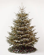 Sapin de Noël Étincelles de 300 cm : Nordmann illuminé d'une guirlande blanc chaud et pied de pommes de pin 