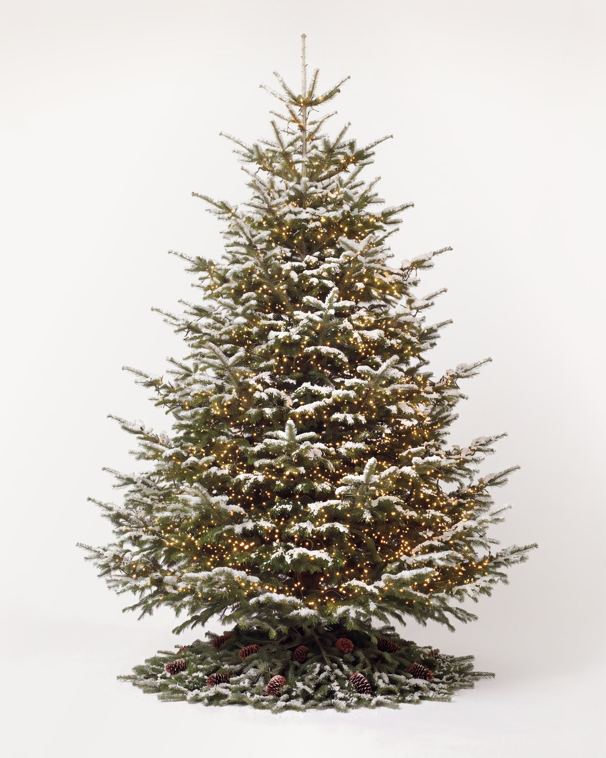 Sapin de Noël Étincelles de 350 cm : Nordmann illuminé d'une guirlande blanc chaud et pied de pommes de pin 