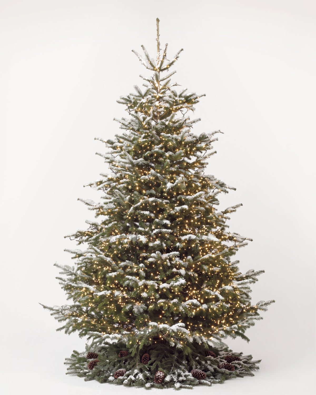 Sapin de Noël Étincelles de 400 cm : Nordmann illuminé d'une guirlande blanc chaud et pied de pommes de pin 