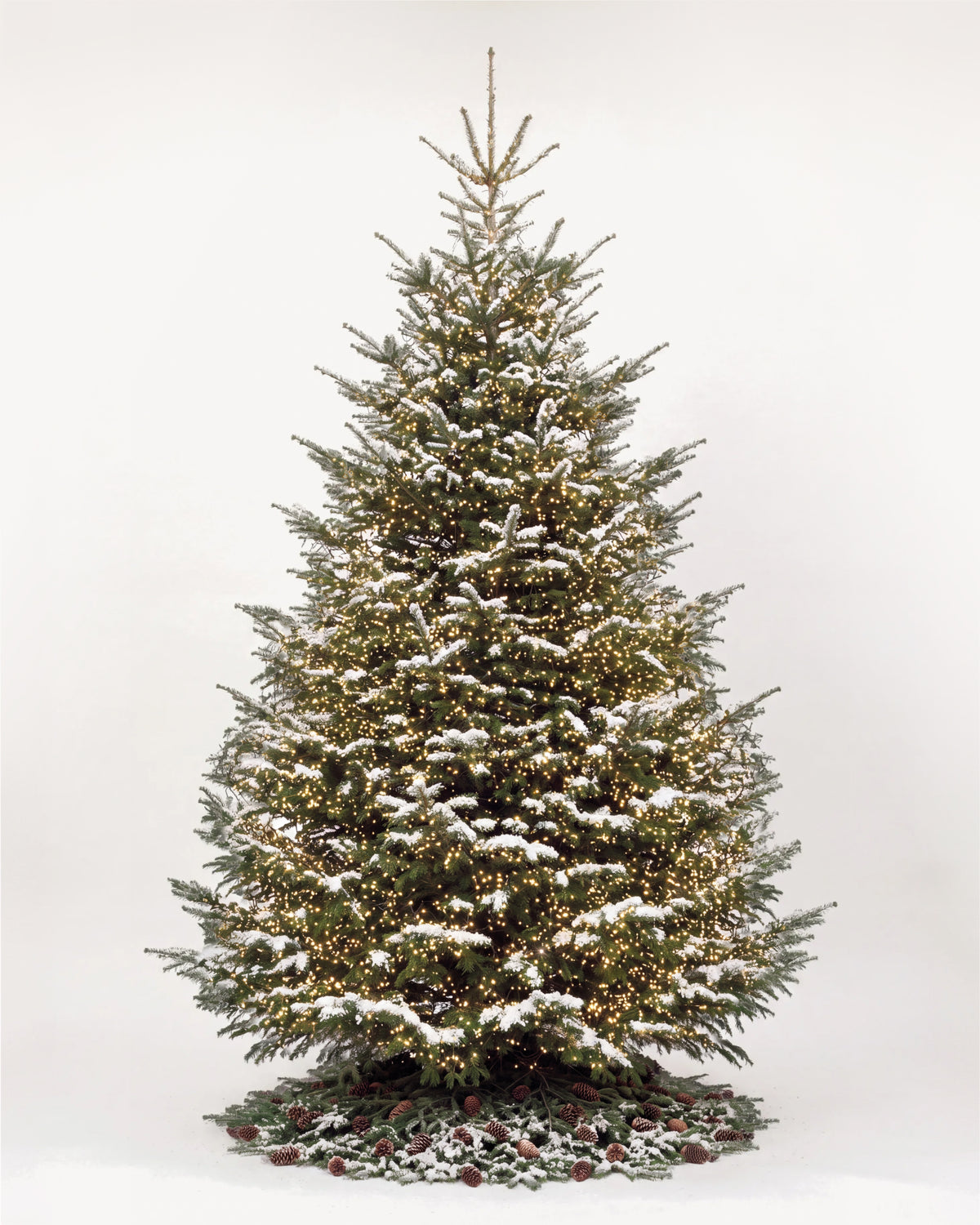 Sapin de Noël Étincelles de 500 cm : Nordmann illuminé d'une guirlande blanc chaud et pied de pommes de pin 