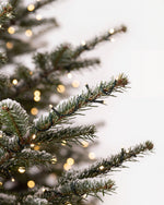 Branche du sapin de Noël Étincelles : aiguilles de Nordmann, guirlande blanc chaud et neige artificielle 