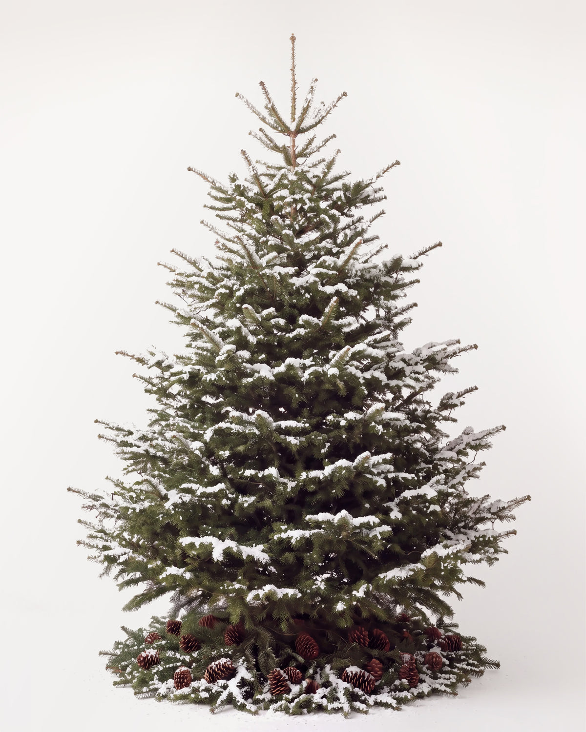 Sapin de Noël Forêt de 300 cm : Nordmann naturel sans décor, neige artificielle et pied de pommes de pin 