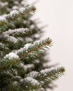 Branche du sapin de Noël Forêt : aiguilles de Nordmann et neige artificielle posée sur les pointes 