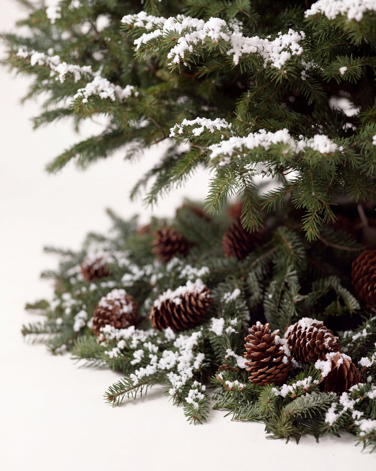 Pied du sapin de Noël Forêt : branches de sapin posées au sol, pommes de pin et neige artificielle 