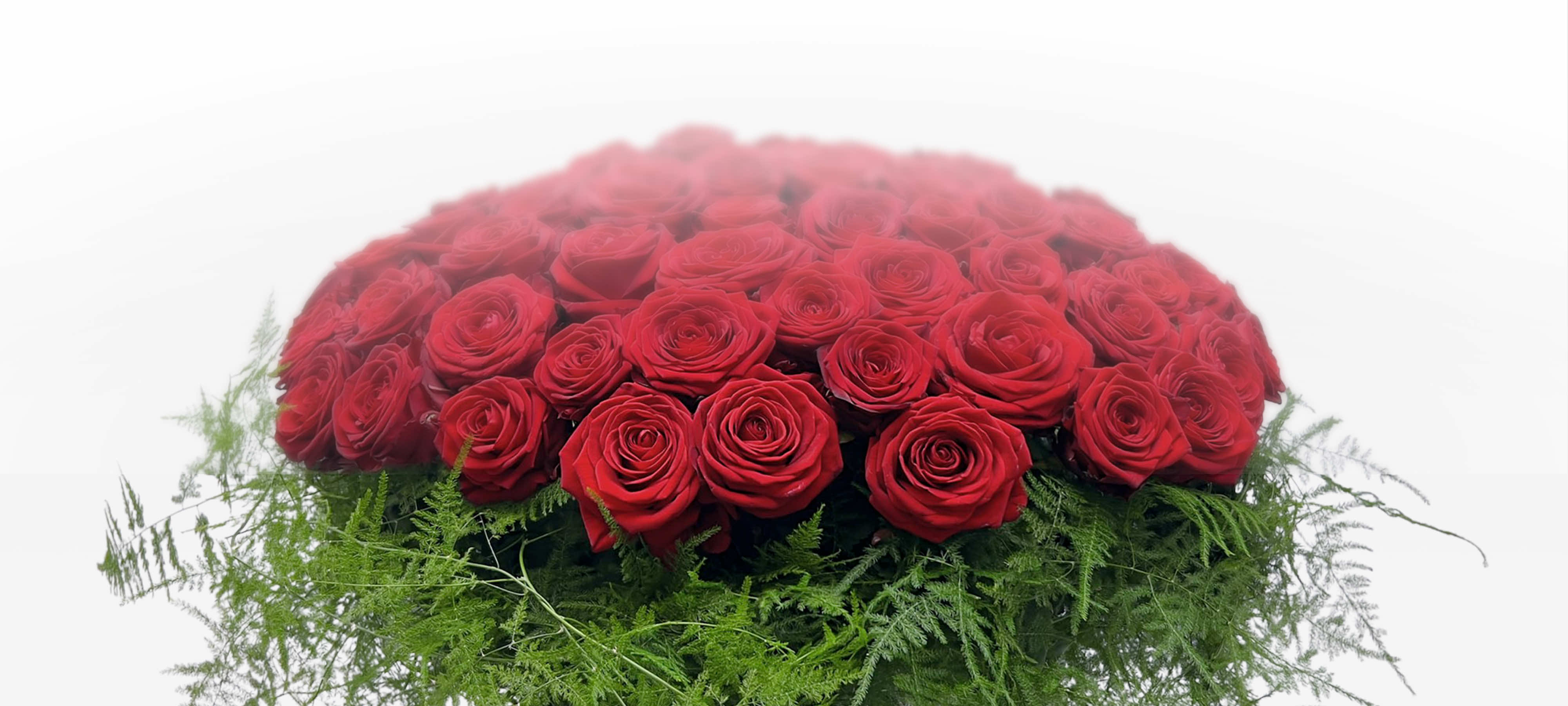 100 grandes roses rouges pour dire je t'aime.